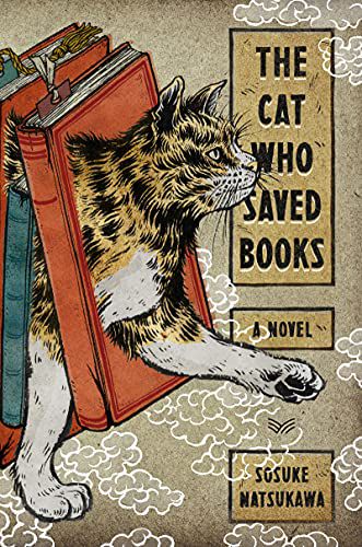 Book cover of The Cat Who Saved Books